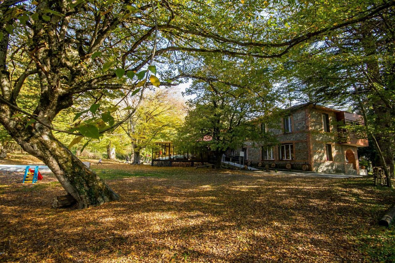 Wald Hotel Lagodekhi Buitenkant foto