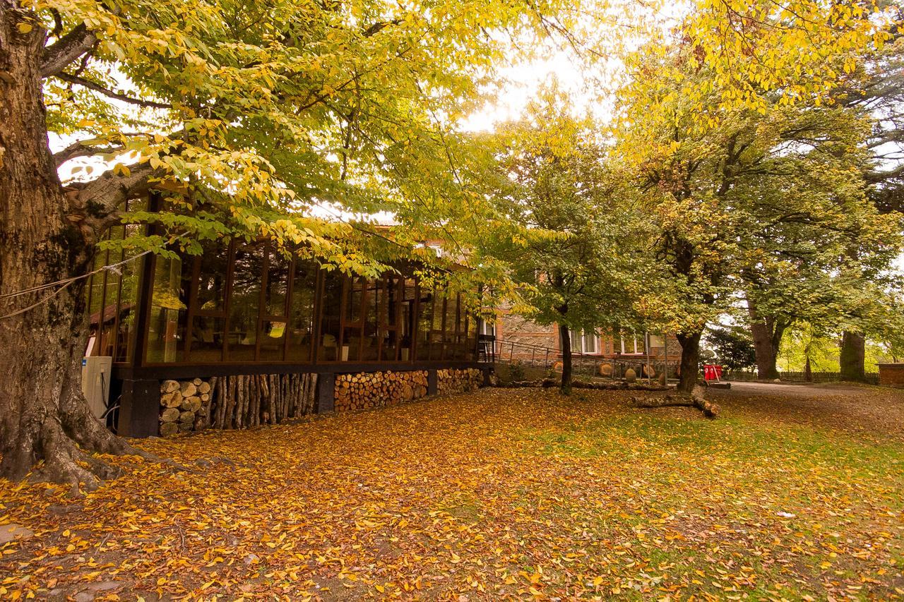 Wald Hotel Lagodekhi Buitenkant foto